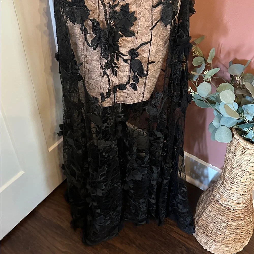 Dress the Population Sidney Black Floral Lace bodycon sheer lace XXS Maxi Dress - Picture 6 of 16